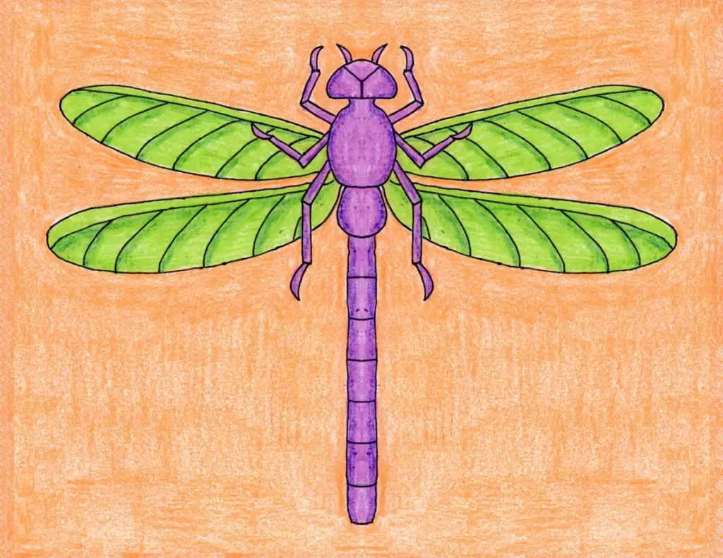 draw a dragonfly