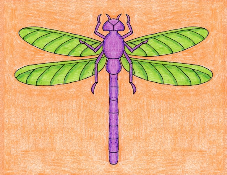 Draw a Realistic Dragonfly · Art Projects for Kids