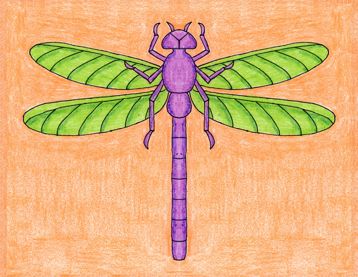 Top How To Draw A Dragonfly in 2023 Don t miss out 