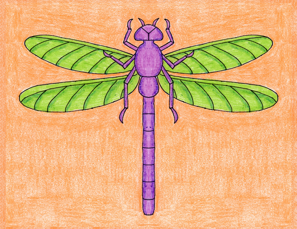 Draw A Realistic Dragonfly Art Projects For Kids