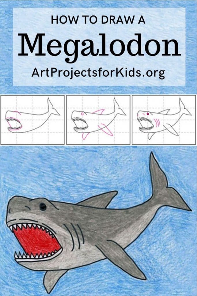 Draw a Megalodon Shark · Art Projects for Kids