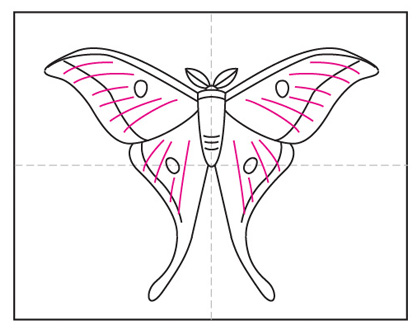 How to Draw a Moth Â· Art Projects for Kids