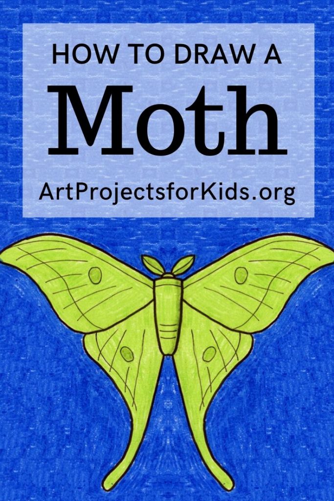 Easy How to Draw a Moth Tutorial and Moth Coloring Page