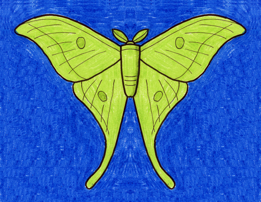 Простое руководство по рисованию бабочек, видео и раскраска