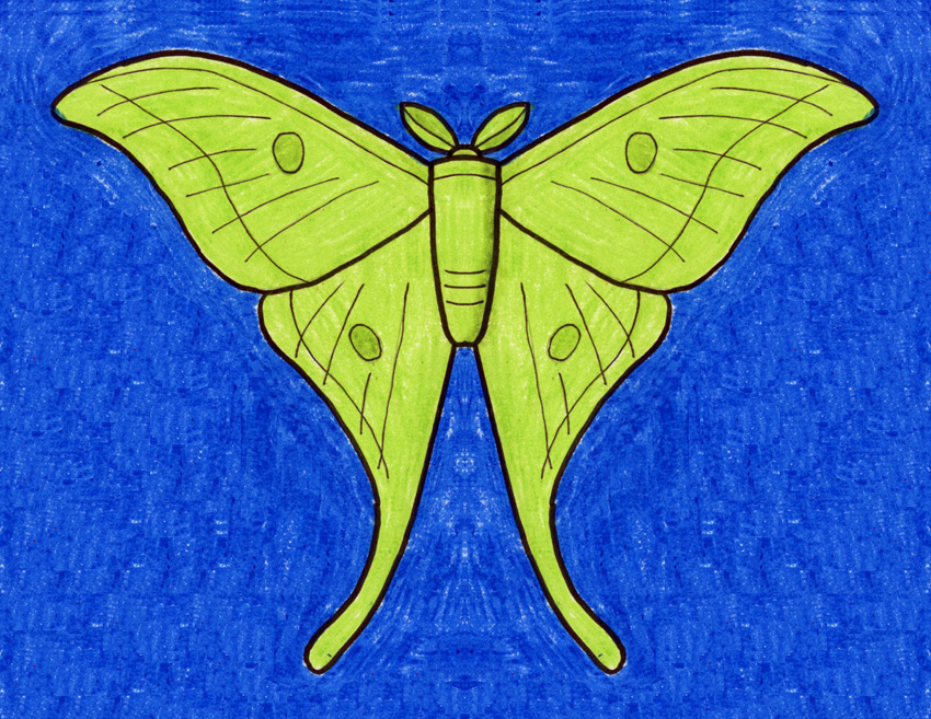 Easy How to Draw a Moth Tutorial and Moth Coloring Page Kids Fashion