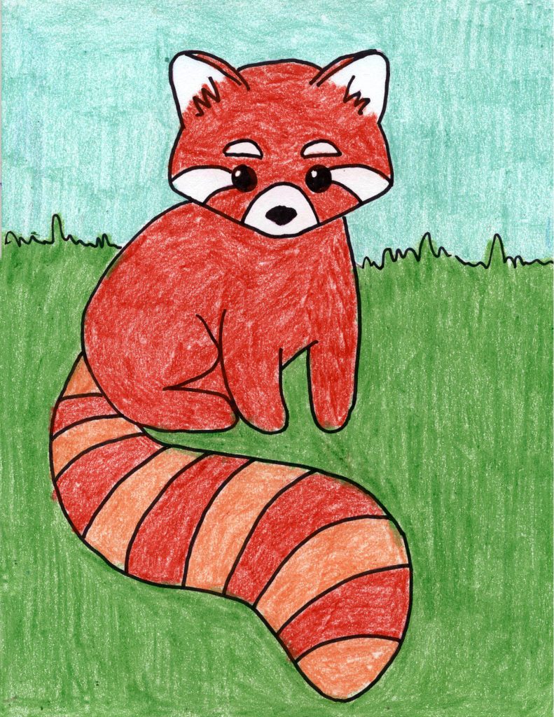 cute red panda drawings