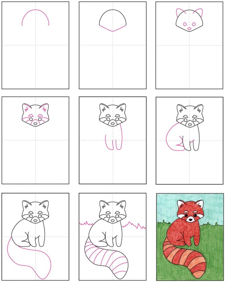 Draw a Red Panda · Art Projects for Kids