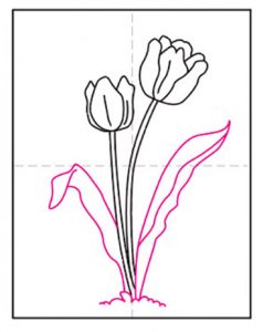 Easy How to Draw a Tulip Tutorial Video and Tulip Coloring Page