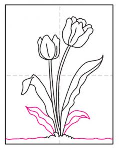 Easy How to Draw a Tulip Tutorial Video and Tulip Coloring Page