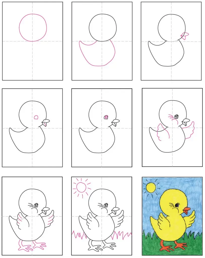 Baby Chick diagram 815x1024.jpg - Cách vẽ con gà đơn giản đẹp với 8 bước cơ bản hướng dẫn chi tiết