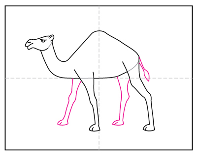 How To Draw A Camel Art Projects For Kids