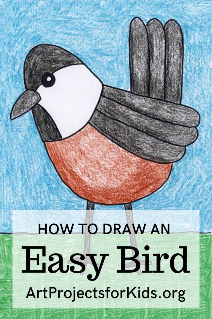 How to Draw a Chickadee Art Projects for Kids