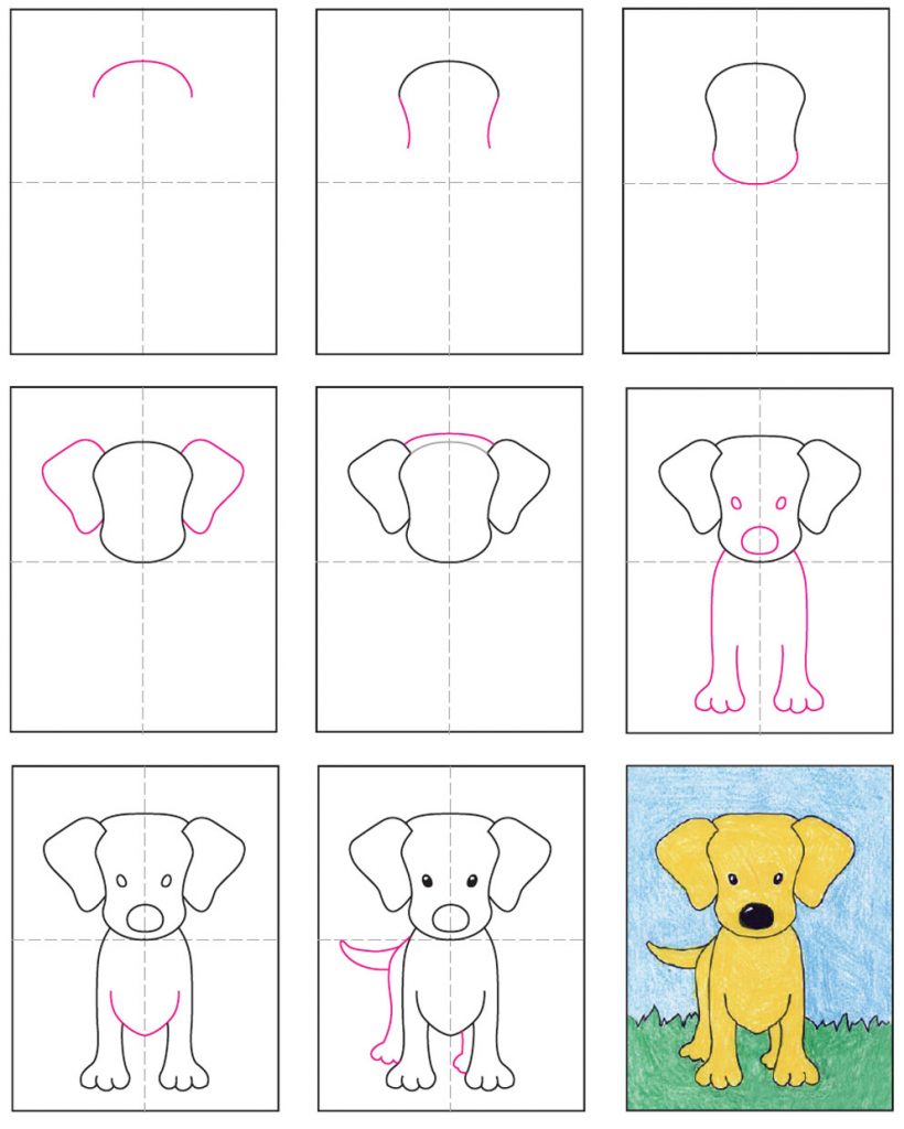 How To Draw A Labrador Dog Art Projects For Kids