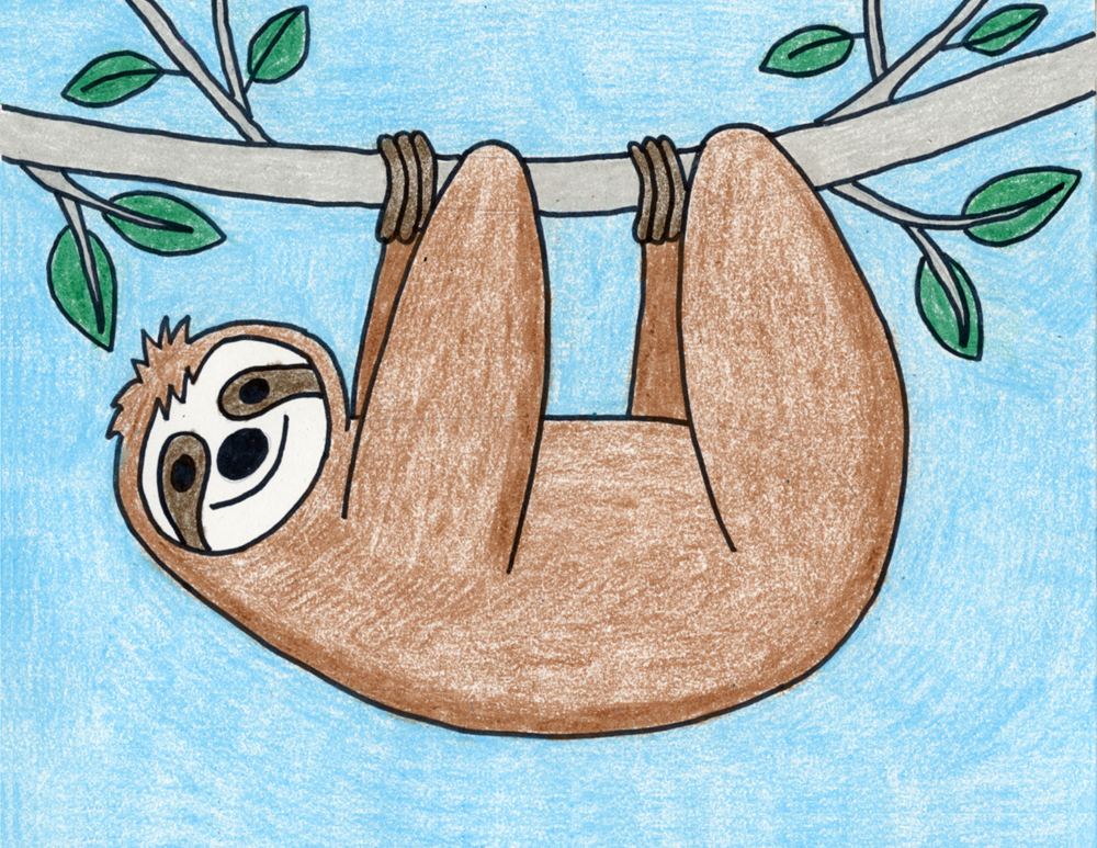  How to Draw a Sloth Art Projects for Kids