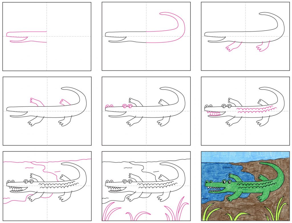 How to Draw Alligator Step by Step?