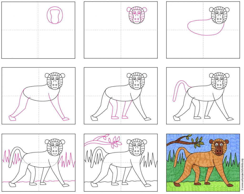 How to Draw a Baboon · Art Projects for Kids