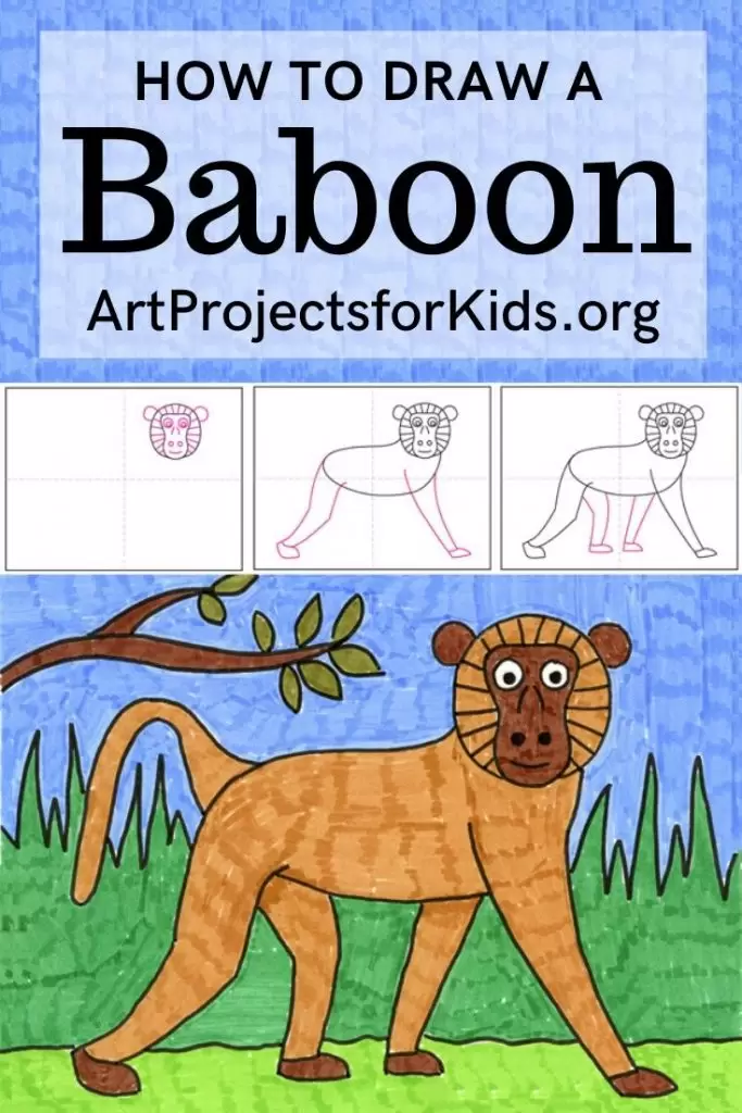 how to draw a baboon