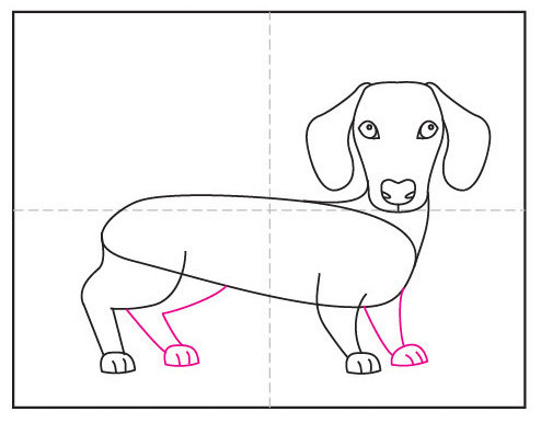 Easy How to Draw a Dachshund Dog Tutorial and Dachshund Dog Coloring
