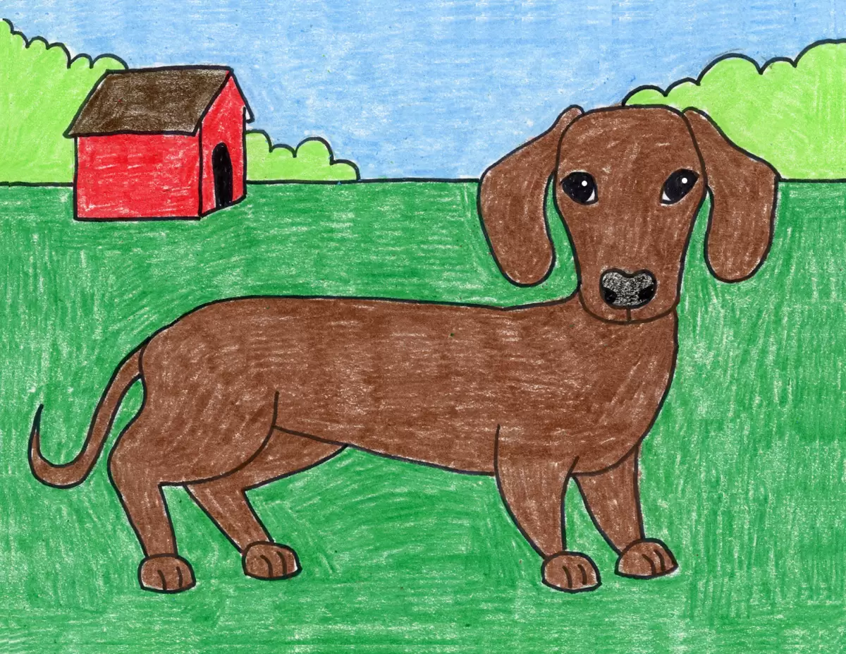 Easy How to Draw a Dachshund Dog Tutorial and Dachshund Dog Coloring Page
