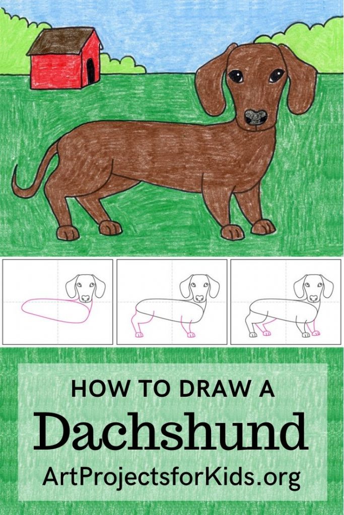 How to Draw a Dachshund Dog · Art Projects for Kids