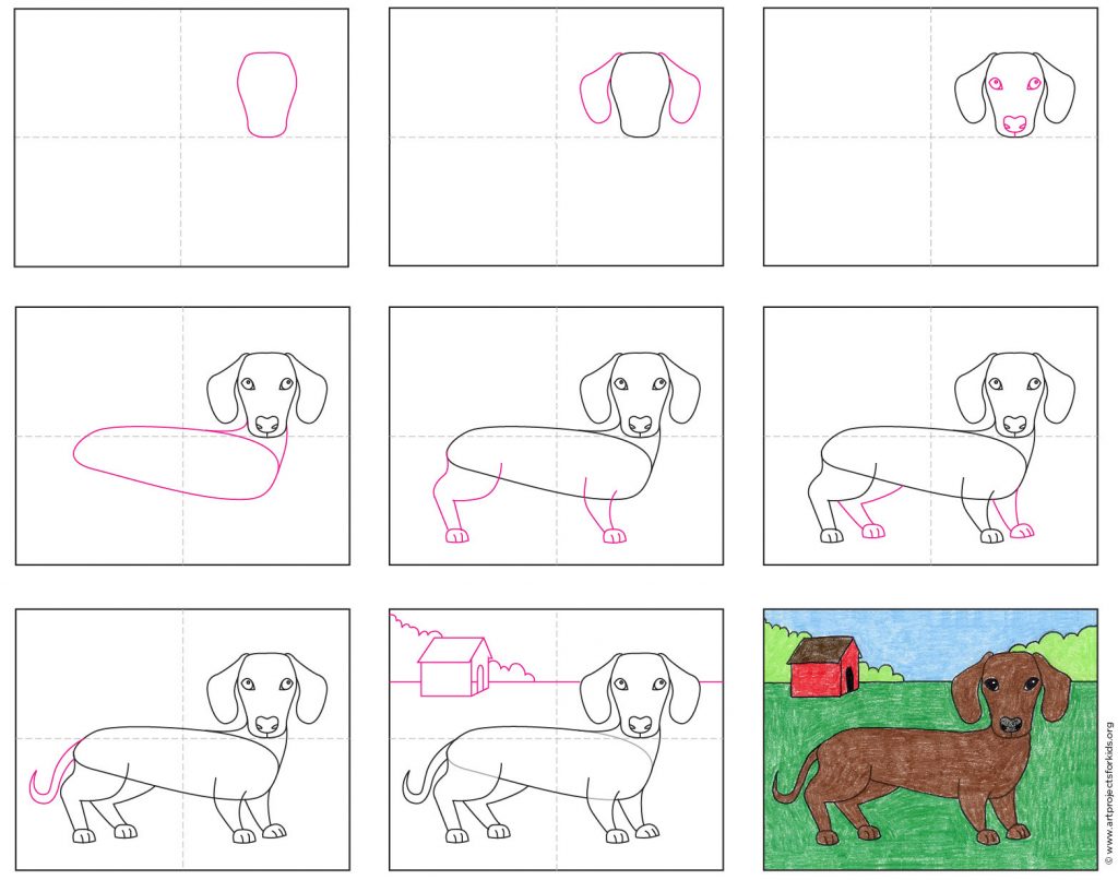 How to Draw a Dachshund Dog · Art Projects for Kids