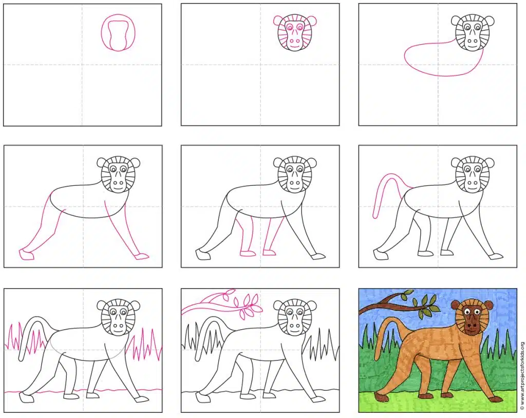 Easy How to Draw a Baboon Tutorial and Baboon Coloring Page
