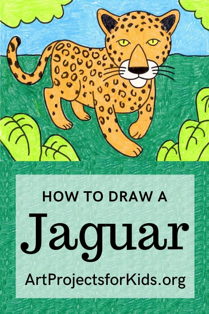 How to Draw a Jaguar · Art Projects for Kids