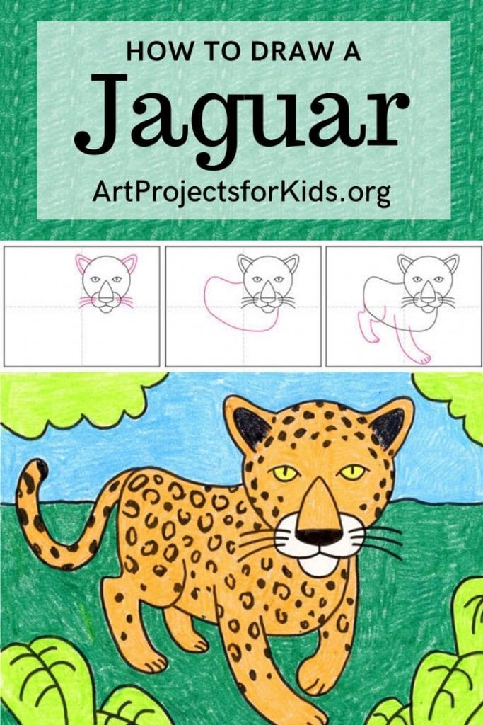 Jaguar Animal Drawing Easy