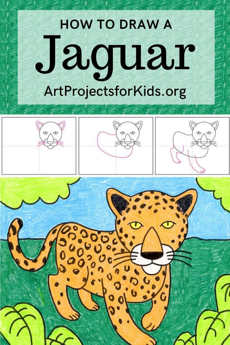 Easy How to Draw a Jaguar Tutorial and Jaguar Coloring Page