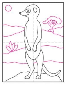 Easy How to Draw a Meerkat Tutorial and Meerkat Coloring Page