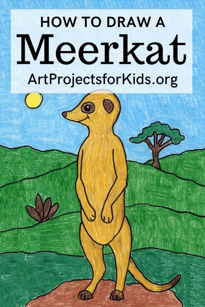 How to Draw a Meerkat Art Projects for Kids