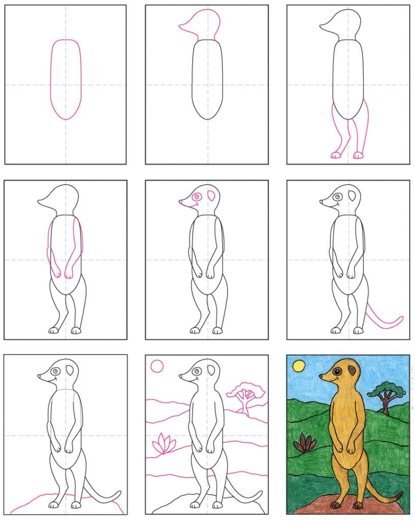 How to Draw a Meerkat · Art Projects for Kids