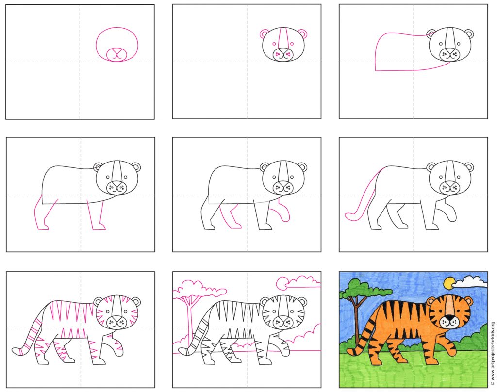 how to draw a tiger