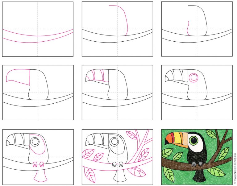 Easy How to Draw a Toucan Tutorial and Toucan Coloring Page