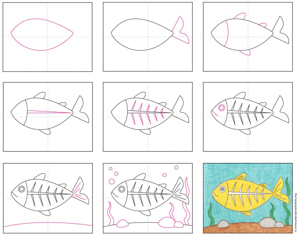 Draw an XRay Fish · Art Projects for Kids