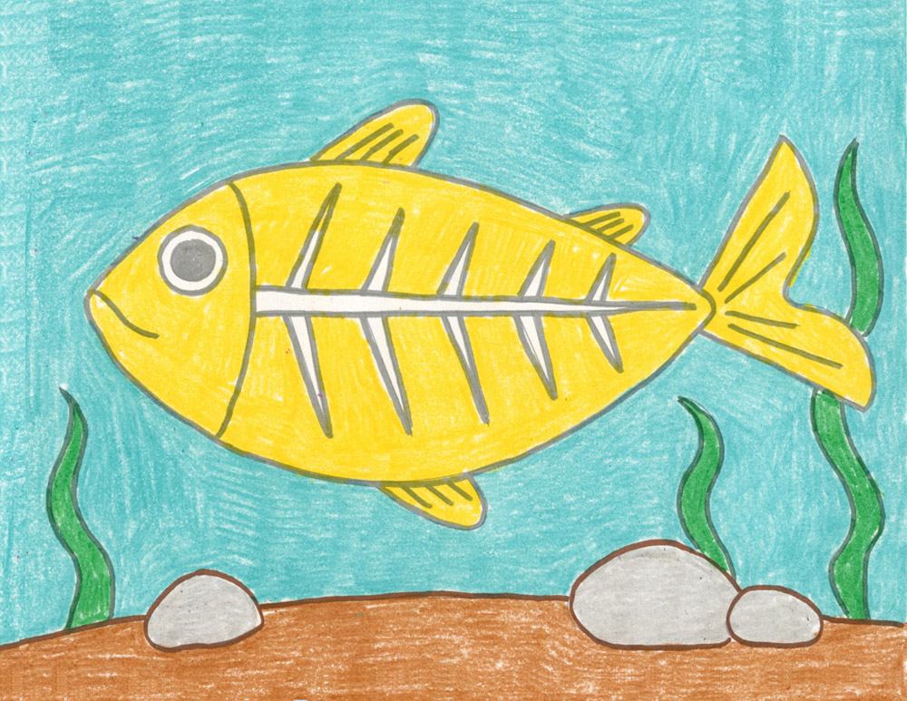 Simple Draw an XRay Fish Tutorial and Coloring Web page Artshow24