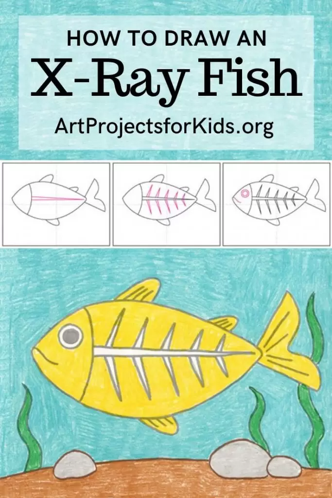 How to Draw a Fish | Nil Tech - shop.nil-tech