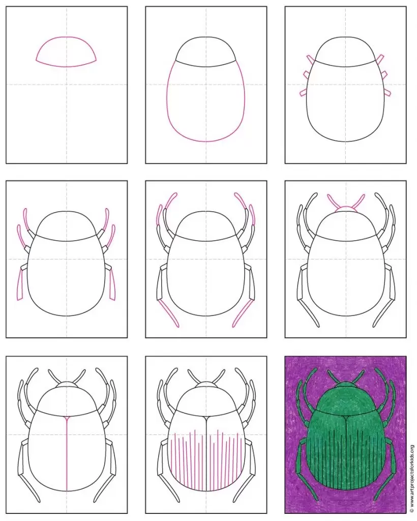 how-to-draw-a-beetle