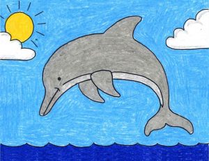 How to Draw a Dolphin | Dolphin Coloring Page