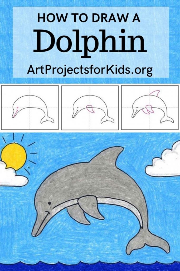 Featured image of post Drawing Pics Of Dolphins