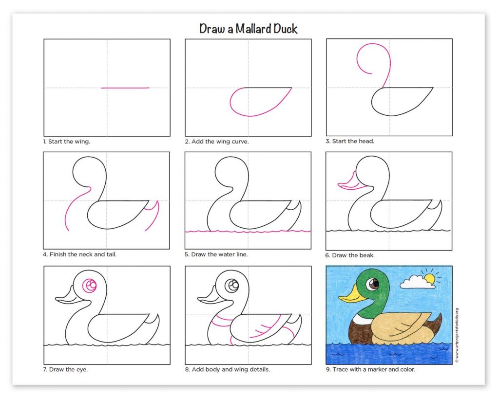 Vẽ con vịt/ hướng dẫn bé vẽ và tô màu con vịt - Draw a duckling - YouTube