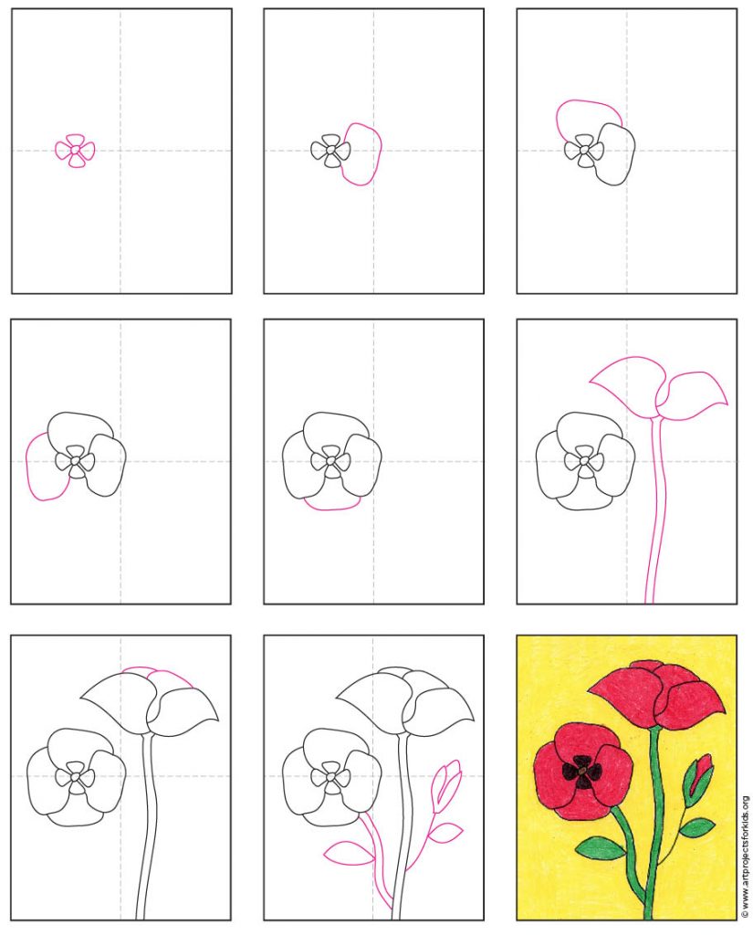 How to Draw a Poppy · Art Projects for Kids