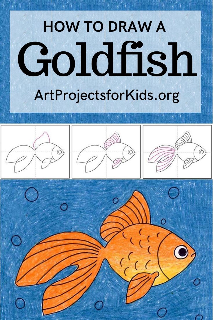Easy How to Draw a Goldfish Tutorial and Goldfish Coloring Page — JINZZY
