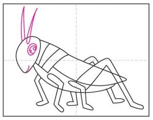 Easy How to Draw a Grasshopper Tutorial & Coloring Page