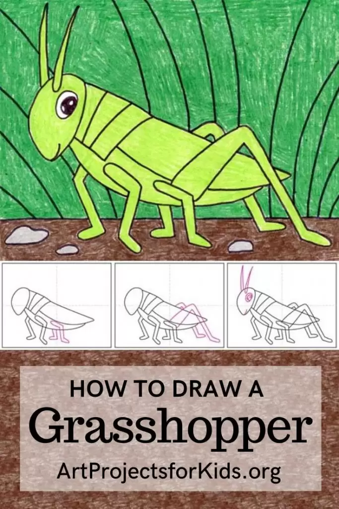 Easy and simple Grasshopper drawing - YouTube