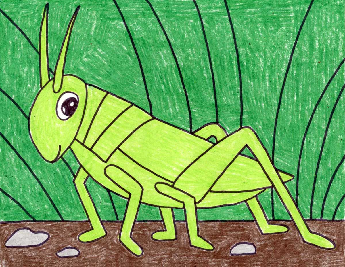 Easy How to Draw a Grasshopper Tutorial and Grasshopper Coloring Page