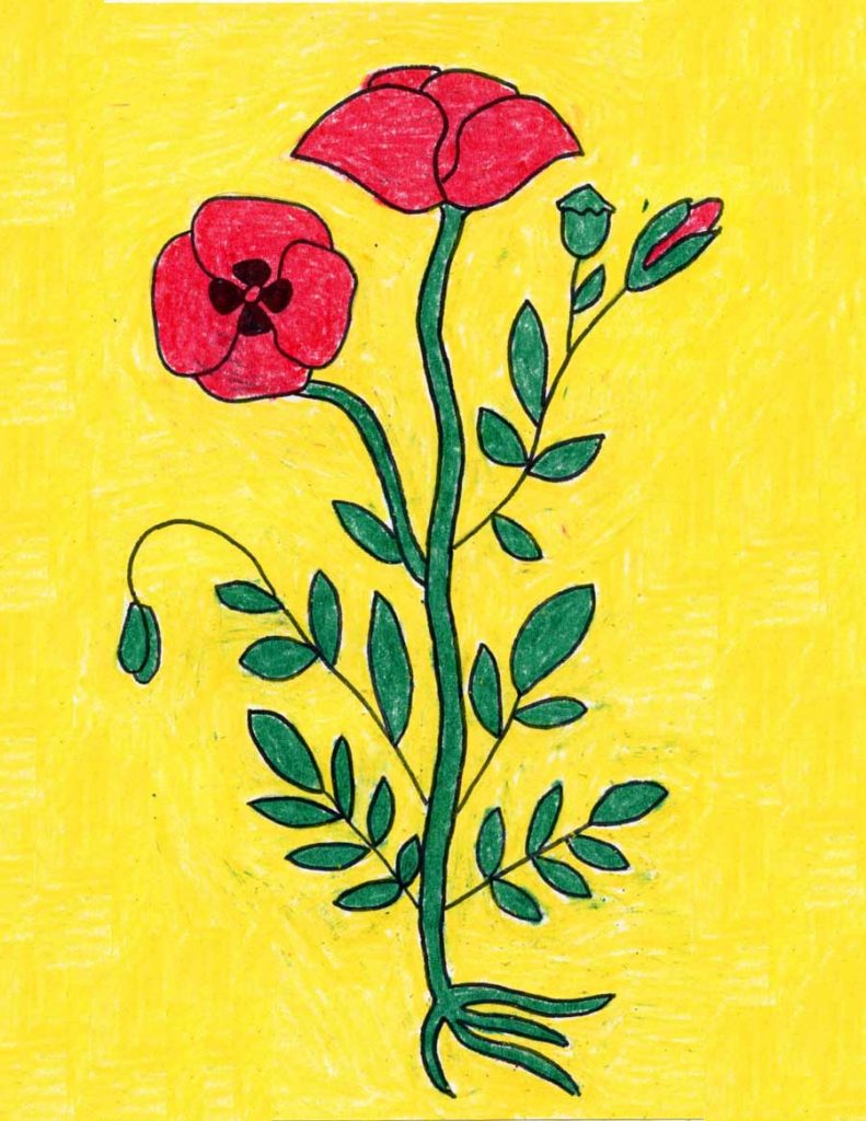 How To Draw A Poppy Art Projects For Kids