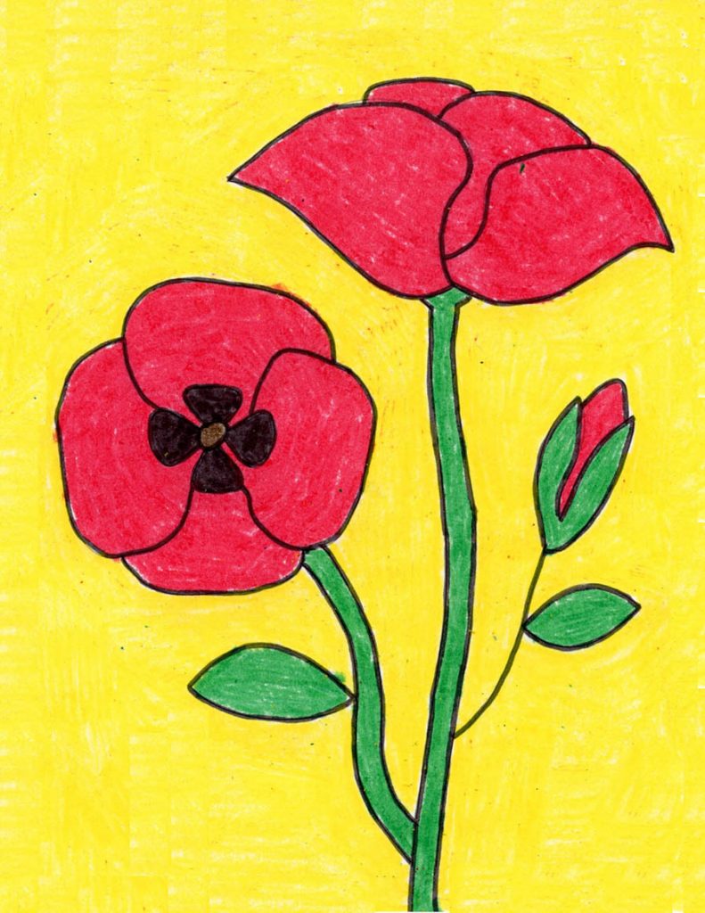 How to Draw a Poppy · Art Projects for Kids