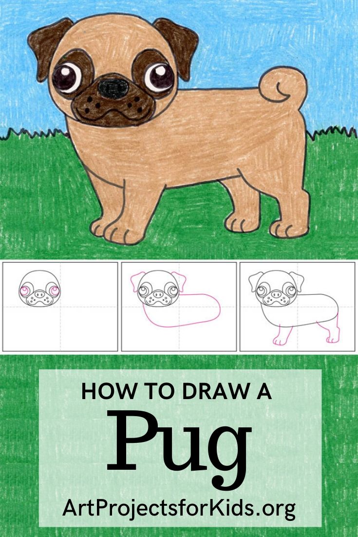 How to Draw a Pug · Art Projects for Kids