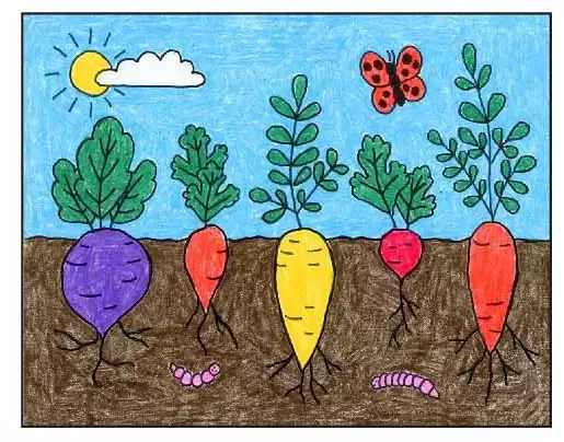 Easy Fruit & Vegetable Drawings For Kids | Vegetable drawing, Drawings,  Fruits & vegetables